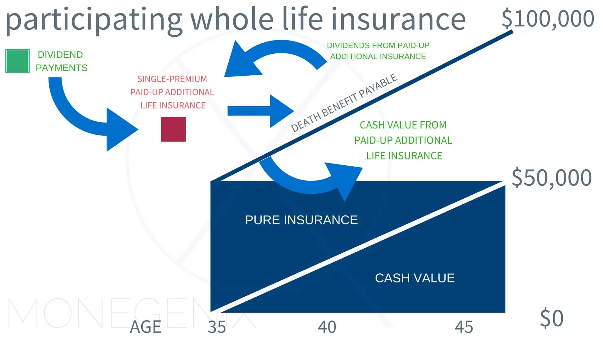 The Role of Cash Value in Whole Life Insurance